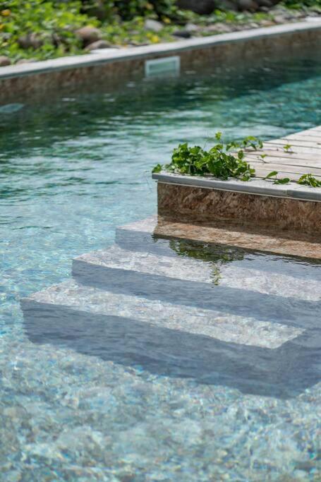 T3 Lumineux Avec Vue Exceptionnelle Et Piscine Oasis De Nature Et Serenite Petit-Canal Exterior foto